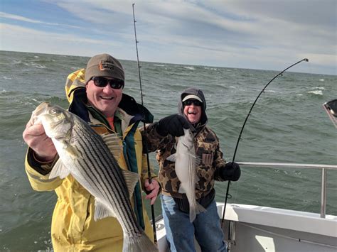 Light Tackle Striped Bass Fishing Captain Hoggs Charter Service