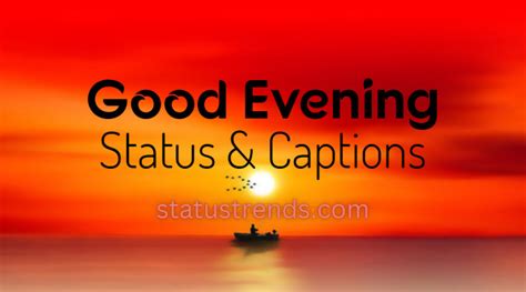 300 Best Good Evening Status Captions And Wishes