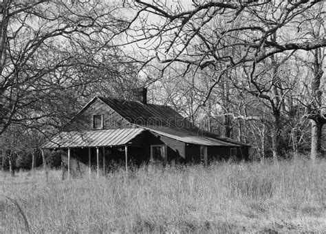 Abandoned House In The Woods In Black And White Stock Photo Image Of