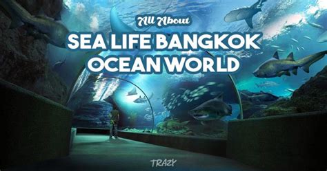 All About Sea Life Bangkok Ocean World Trazy Blog