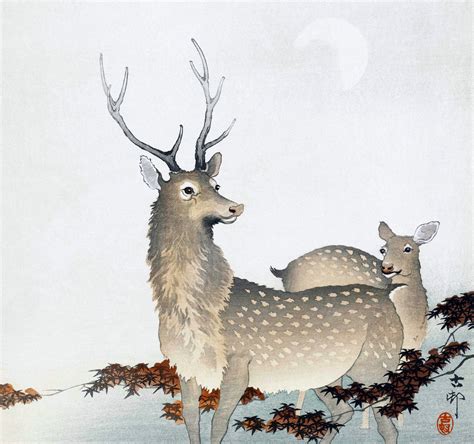 Deer Deer Vintage Art Free Stock Photo Public Domain Pictures
