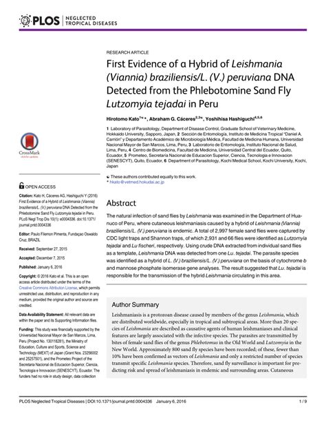 Pdf First Evidence Of A Hybrid Of Leishmania Viannia Braziliensis L V Peruviana Dna