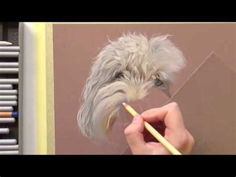 Tutorial How To Draw White Curly Fur With Pastel Pencils Leontine