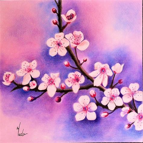 Cherry Blossoms Original Coloured Pencil Art Beautiful Flowers Wall