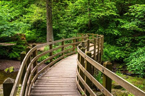 Bridge Along A Forest Path Stock Image Image Of England 82688819