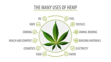 Many Uses Of Hemp White Poster With Infographic Of Uses Of Hemp And
