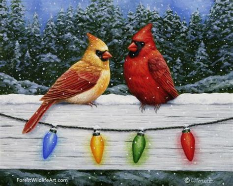 Northern Red Cardinals Sit On A Snow Covered Fence With Christmas