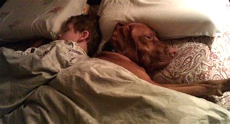 20 Heart Melting Pet Photos Thatll Make Your Entire Day Paw My Gosh