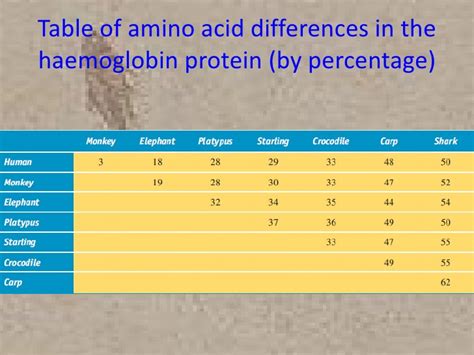 Amino Acid Sequences Indicators Of Evolution Lasopaso