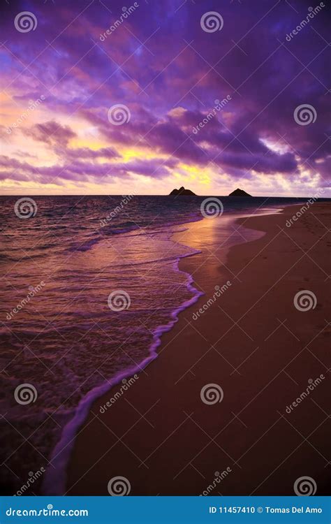 Daybreak At Lanikai Beach In Hawaii Stock Photo Image Of Lanikai