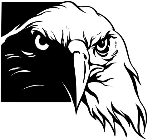 Eagle Vector Cartoon Art Designs Compilation We Are Currently Seeking