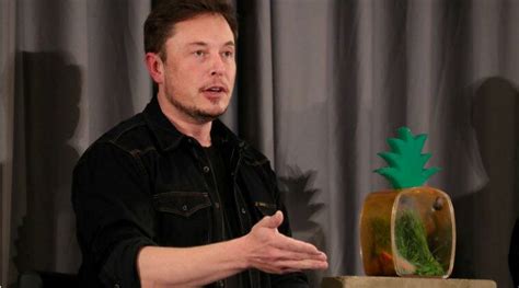 Musk Courts Controversy With Tweets On Sex Video Filmed In Tesla
