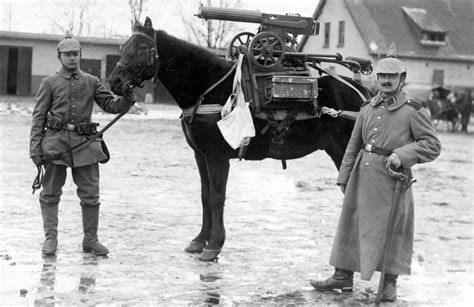 German Soldiers Pose With Horse Mounted With A Captured Machine Gun
