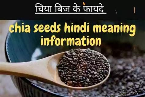 Chia Seeds In Hindi । चिया बिज के फायदे और नुकसान हिंदी जानकारी