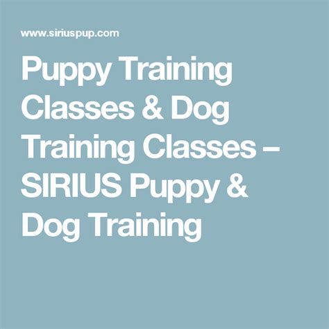 Puppy Training Classes And Dog Training Classes Sirius Puppy And Dog