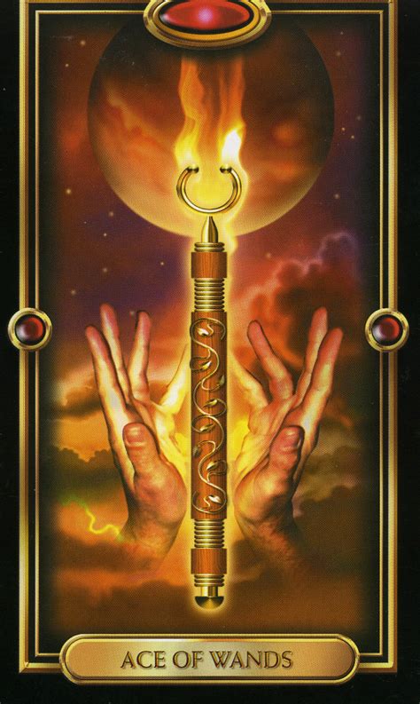 Check spelling or type a new query. Ace of Wands - INTUITIVE TAROT ADVISOR