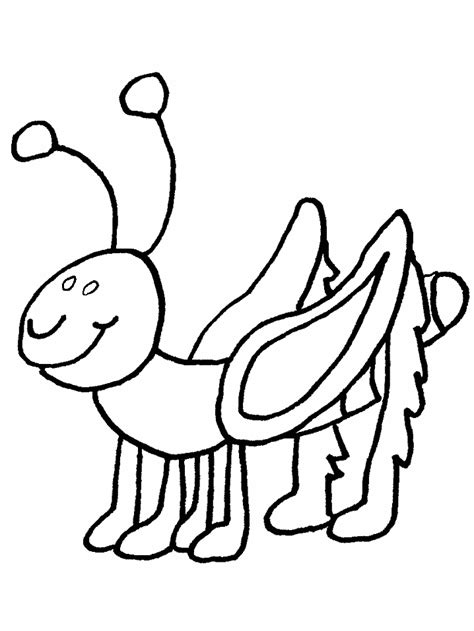 Printable Bug Pictures Coloring Home