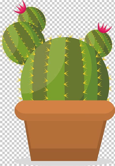 Cactus Vector Png 20 Free Cliparts Download Images On Clipground 2023