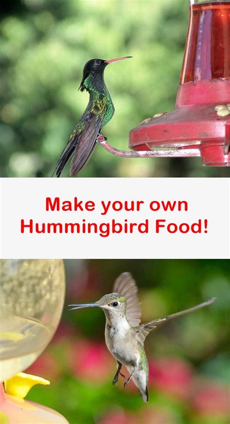 Bring the water to a boil. How to Make HUMMINGBIRD FOOD in 2020 | Make hummingbird ...