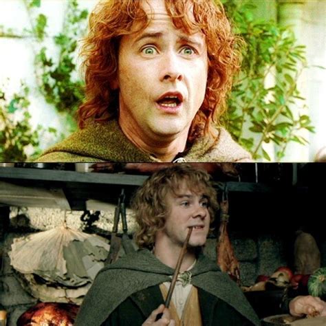 Pippin And Marry Merry And Pippin The Hobbit Lord Of The Rings