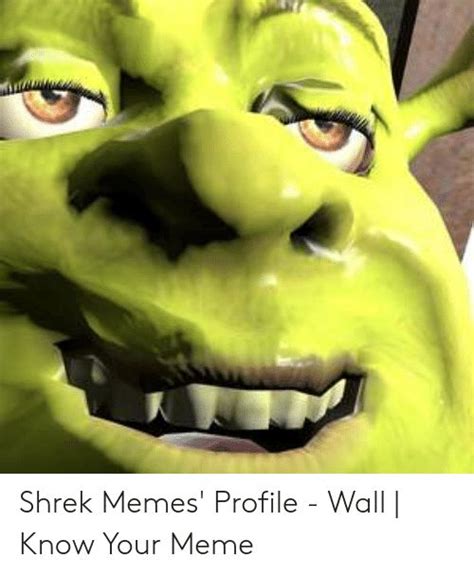 Shrek Funny Faces ~ Shrek Face Close Up Animated  Kolpaper