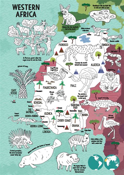 Natalie Hughes Illustration Wildlife A Map Colouring Book
