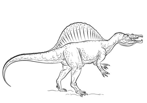 Przedstawiam kolorowanki do druku, których inspiracją stały się dinozaury. Spinosaurus coloring page | Free Printable Coloring Pages