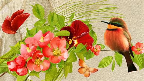 Free Download Pretty Birds Flowers Wallpaper 1920x1080 For Your