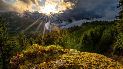 Cascade Range Forest And Landscape Of Mountains With Sunbeam Under