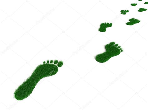 Grass Footprint — Stock Photo © Shenki 5831053