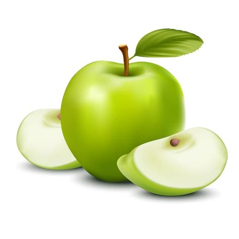Premium Vector Realistic Vector Green Apple Sliced