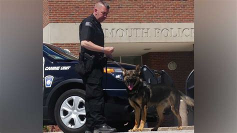 Massachusetts Police Officer Shoots Kills His K 9 After Dog Attacks