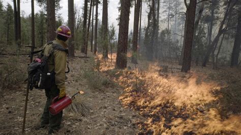 How To Literally Fight A Devastating Forest Fire With Fire Vice