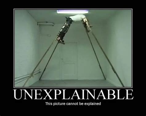 Unexplainable Picture Funny Pictures Cats Funny Pics