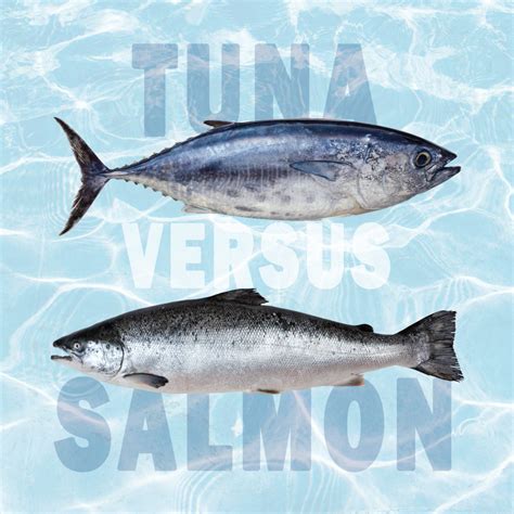 Tuna Vs Salmon All Their Differences Tastylicious