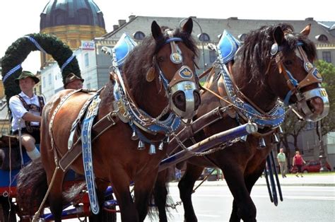 Oktoberfest 2018 W Monachium Julia Prokopy Miss święta Piwa Dziennik