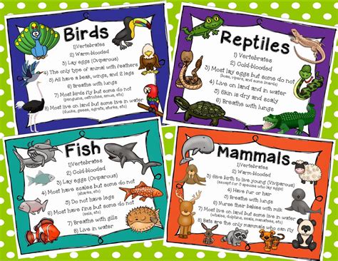 Animals And Their Habitats Chart