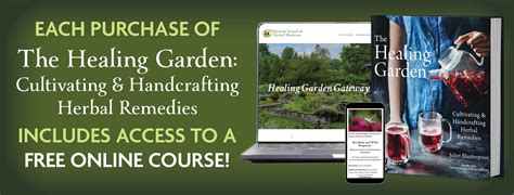 The Healing Garden