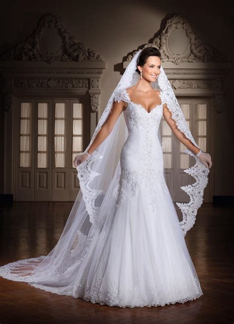 Long Wedding Veils Lace Appliques Edge Cathedral Length