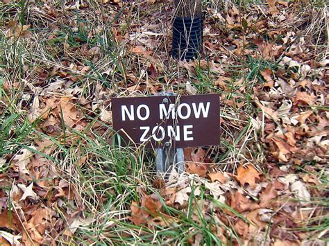 No Mow Zone No Mow Zone By Rharrison Flickr Photo Sharing
