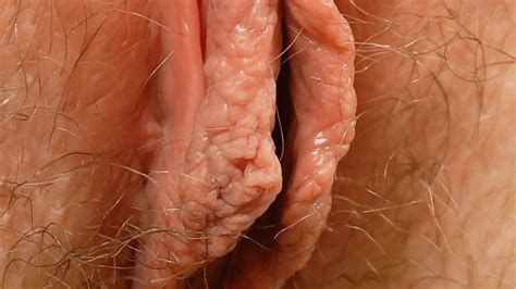 Female Textures Stunning Blondes Hd P Vagina Close Up Hairy Sex Pussy By Rumesco