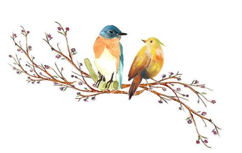 Love Birds Watercolor Clipart Tree Branch Blossom Flowers Etsy India