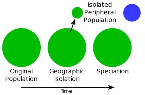 What Is The Difference Between Allopatric And Peripatric Speciation