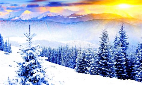 Winter Winter Rays Colorful Sunshine Sunlight Sky Cold Trees Nature Sun