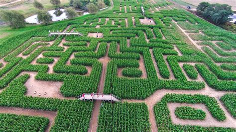 Best Corn Mazes Near Nyc For Kids And Families