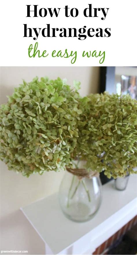 How To Dry Hydrangeas The Easy Way Green With Decor Dried