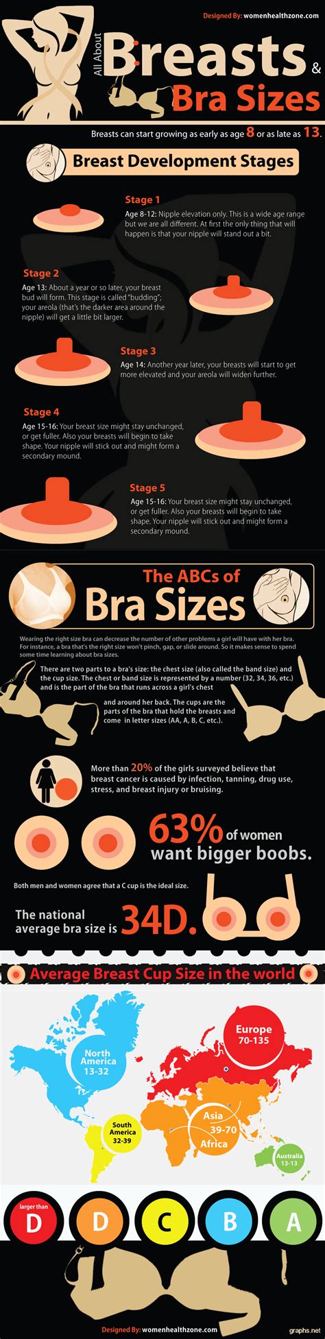Bra And Breast Sizes Infographics