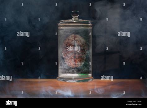 Brain In A Jar Stock Photo Alamy