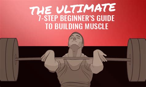The Ultimate 7 Step Beginners Guide To Building Muscle Fitmole