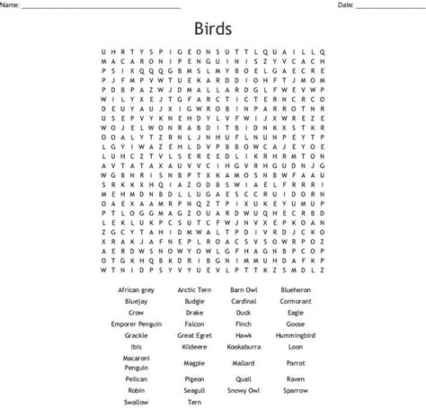 Birds Word Search Puzzle For Kids American Home Healths Blog Birds